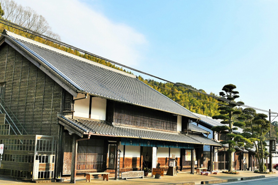 旧東海道の松並木（内谷地区） | 【日本遺産】駿州の旅（静岡市・藤枝
