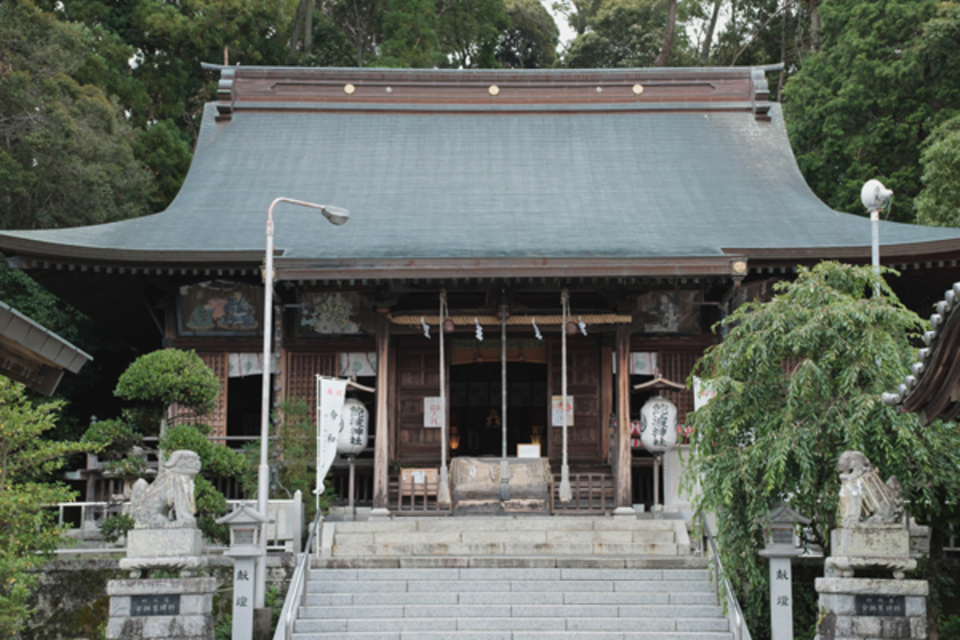 大慶寺 久遠の松 | 【日本遺産】駿州の旅（静岡市・藤枝市） 弥次さん
