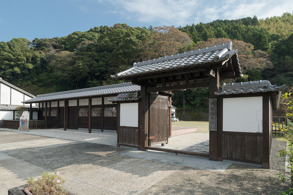 画像4