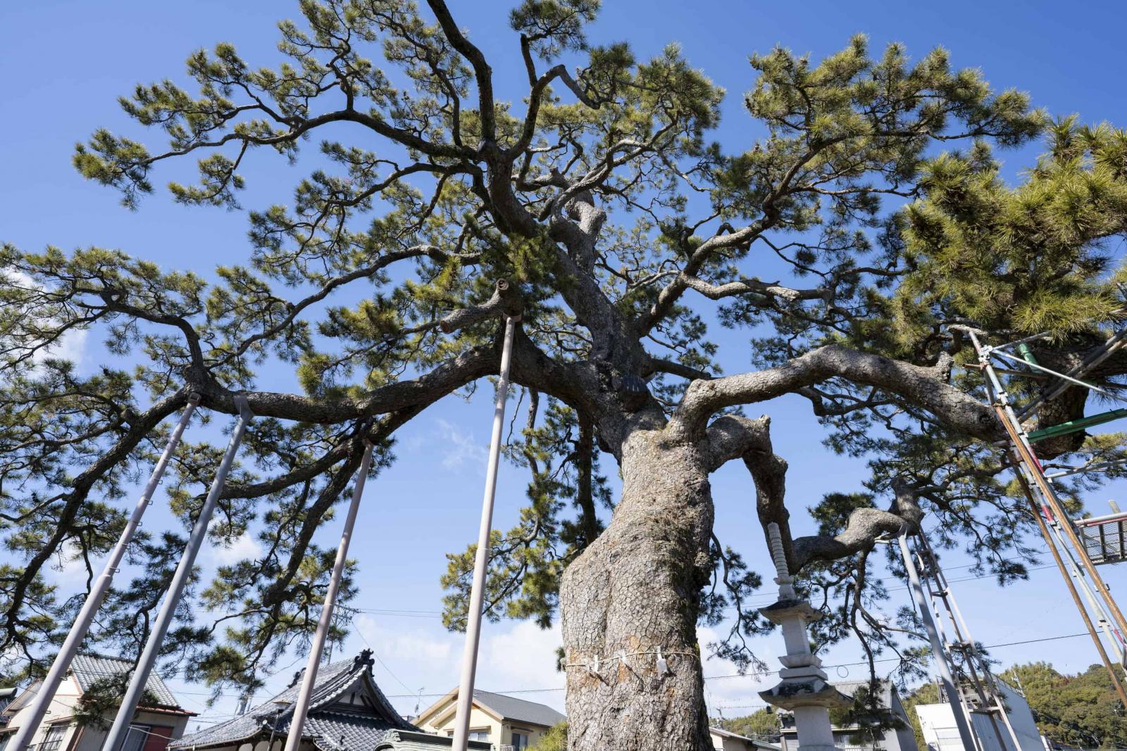 二峠八宿 | 【日本遺産】駿州の旅（静岡市・藤枝市） 弥次さん喜多さんと巡る東海道中膝栗毛